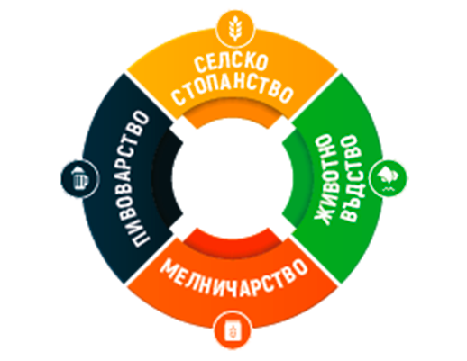 The group model